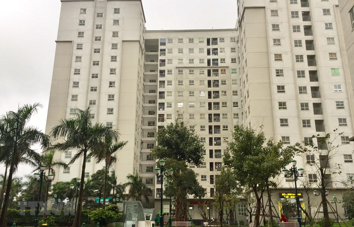 Tổng cục Thuế sẽ nghiên cứu đề xuất nâng ngưỡng doanh thu chịu thuế đối với hoạt động cho thuê nhà - Ảnh 1.
