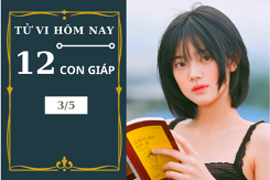 Tử vi hàng ngày hôm nay 3/5 của 12 con giáp: Tuổi Dần tài lộc vượng phát, Ngọ thuận lợi trong việc kinh doanh