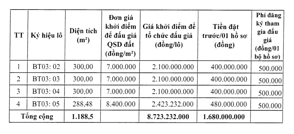 Đông Sơn, Thanh Hóa sắp đấu giá 214 lô đất, khởi điểm từ 6 triệu đồng/m2 - Ảnh 1.