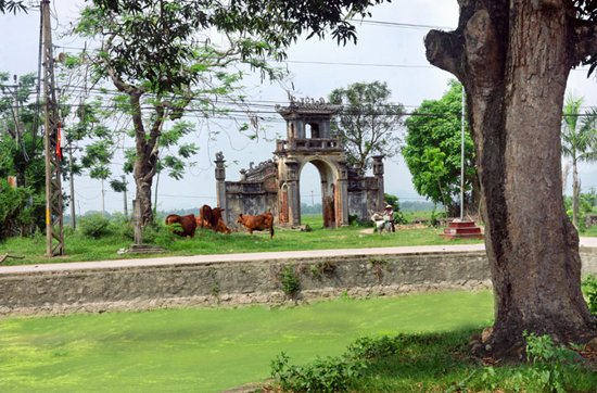 Kế hoạch sử dụng đất xã Trường Thịnh, Ứng Hoà, Hà Nội năm 2021 - Ảnh 1. Kế hoạch sử dụng đất xã Trường Thịnh, Ứng Hoà, Hà Nội năm 2021 - Ảnh 1.