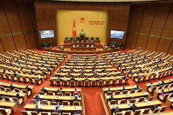 Mời cử tri xem thông tin tổng hợp về bầu cử tại website của Sở Thông tin và Truyền thông TP HCM