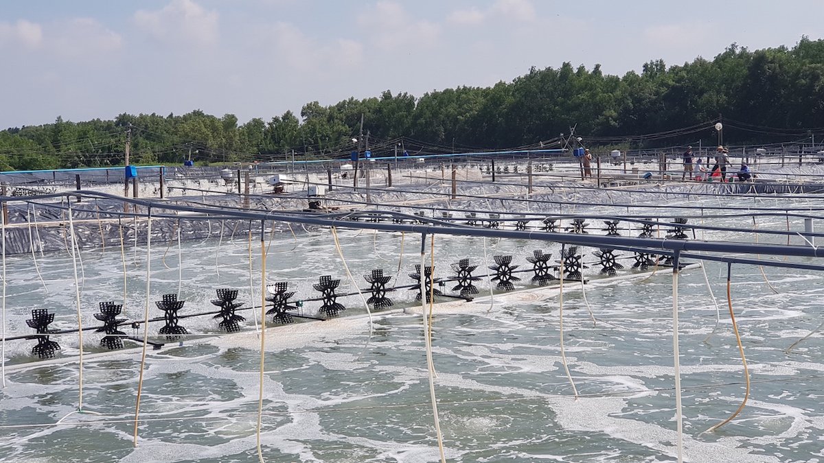 Công nghệ cải tiến góp phần chống biến đổi khí hậu tốt hơn tại Việt Nam và toàn cầu - Ảnh 1. Công nghệ cải tiến góp phần chống biến đổi khí hậu tốt hơn tại Việt Nam và toàn cầu - Ảnh 1.