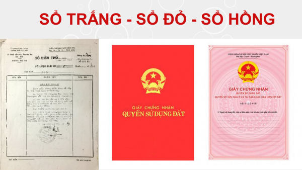 Kinh nghiệm mua nhà trong hẻm mà bạn nên biết - Ảnh 1. Kinh nghiệm mua nhà trong hẻm mà bạn nên biết - Ảnh 1.