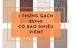 1 thùng gạch 20x40 có bao nhiêu viên? Cập nhật giá gạch ốp tường trang trí 20x40 mới nhất