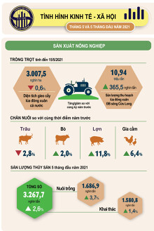 [Infographic] Toàn cảnh kinh tế Việt Nam tháng 5 khi đối mặt với làn sóng COVID-19 thứ 4