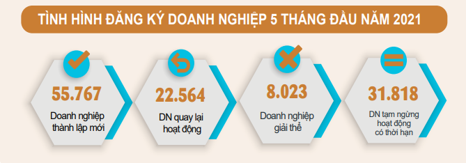 Mỗi tháng 12.000 doanh nghiệp phải rút lui khỏi thị trường khi dịch COVID-19 hoành hành - Ảnh 1. Mỗi tháng 12.000 doanh nghiệp phải rút lui khỏi thị trường khi dịch COVID-19 hoành hành - Ảnh 1.