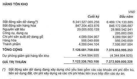 Bà Nguyễn Thị Như Loan bỏ trăm tỷ ‘tiền túi’ cho Quốc Cường Gia Lai vay - Ảnh 2. Bà Nguyễn Thị Như Loan bỏ trăm tỷ ‘tiền túi’ cho Quốc Cường Gia Lai vay - Ảnh 2.
