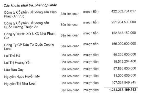 Bà Nguyễn Thị Như Loan bỏ trăm tỷ ‘tiền túi’ cho Quốc Cường Gia Lai vay - Ảnh 3. Bà Nguyễn Thị Như Loan bỏ trăm tỷ ‘tiền túi’ cho Quốc Cường Gia Lai vay - Ảnh 3.