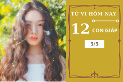 Tử vi hàng ngày hôm nay 5/5 của 12 con giáp: Tuổi Dần gặp nhiều may mắn, Thân gặp hung vận cản trở