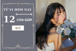 Tử vi hàng ngày hôm nay 6/5 của 12 con giáp: Tuổi Tỵ đón nhiều may mắn, tuổi Tuất đề phòng tiểu nhân