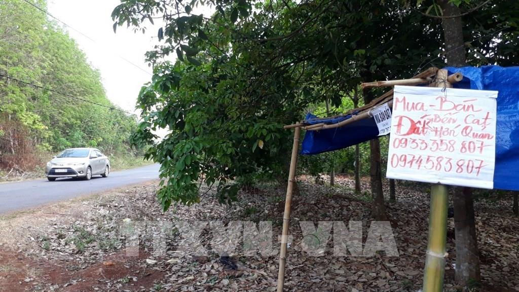 Bộ Xây dựng: Theo dõi, kiểm soát để tránh 'sốt' đất nền lan rộng - Ảnh 1.