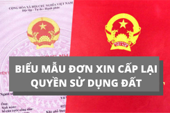 Tham khảo biểu mẫu đơn xin cấp lại quyền sử dụng đất mới nhất năm 2021