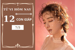 Tử vi hàng ngày hôm nay 7/5 của 12 con giáp: Ngày đầy may mắn của Tý, Mão chú ý sức khỏe
