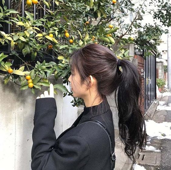 Tử vi hàng ngày hôm nay 2/6 của 12 con giáp: Sửu thần Tài ghé thăm, Dần cẩn thận khi di chuyển - Ảnh 1.