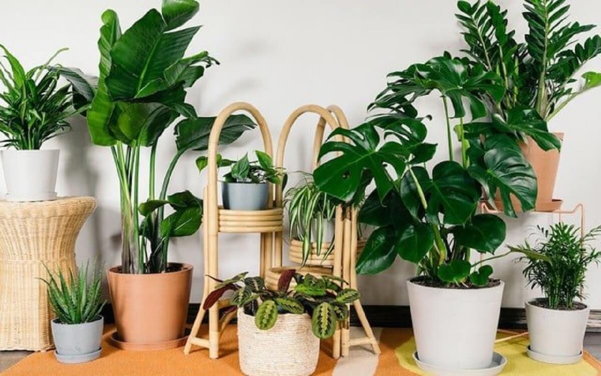 Top 5 ý tưởng quà tặng cho Ngày của Cha 2021 thêm phần ý nghĩa - Ảnh 5. Top 5 ý tưởng quà tặng cho Ngày của Cha 2021 thêm phần ý nghĩa - Ảnh 5.