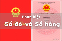 Sổ đỏ và sổ hồng khác nhau như thế nào? Cách phân biệt chuẩn xác nhất