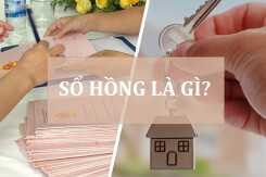 Sổ hồng là gì? Những điều cần biết về sổ hồng