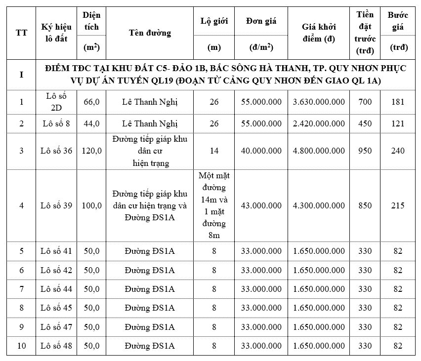 Bình Định đấu giá 30 lô đất tại đảo 1B Bắc sông Hà Thanh, TP Quy Nhơn - Ảnh 1. Bình Định đấu giá 30 lô đất tại đảo 1B Bắc sông Hà Thanh, TP Quy Nhơn - Ảnh 1.