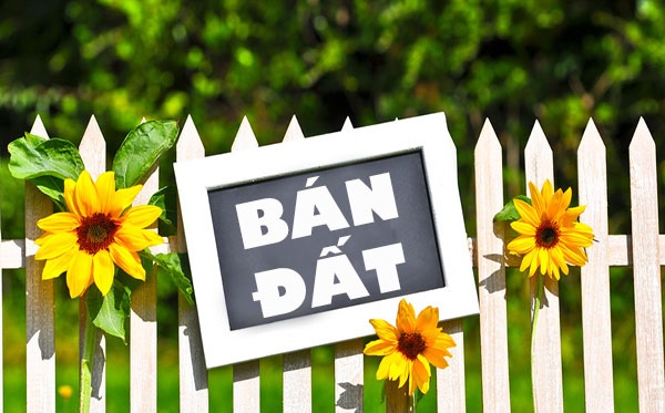 Top những tiêu đề bán đất hay và ấn tượng - Ảnh 1. Top những tiêu đề bán đất hay và ấn tượng - Ảnh 1.