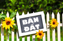 Top những tiêu đề bán đất hay và ấn tượng