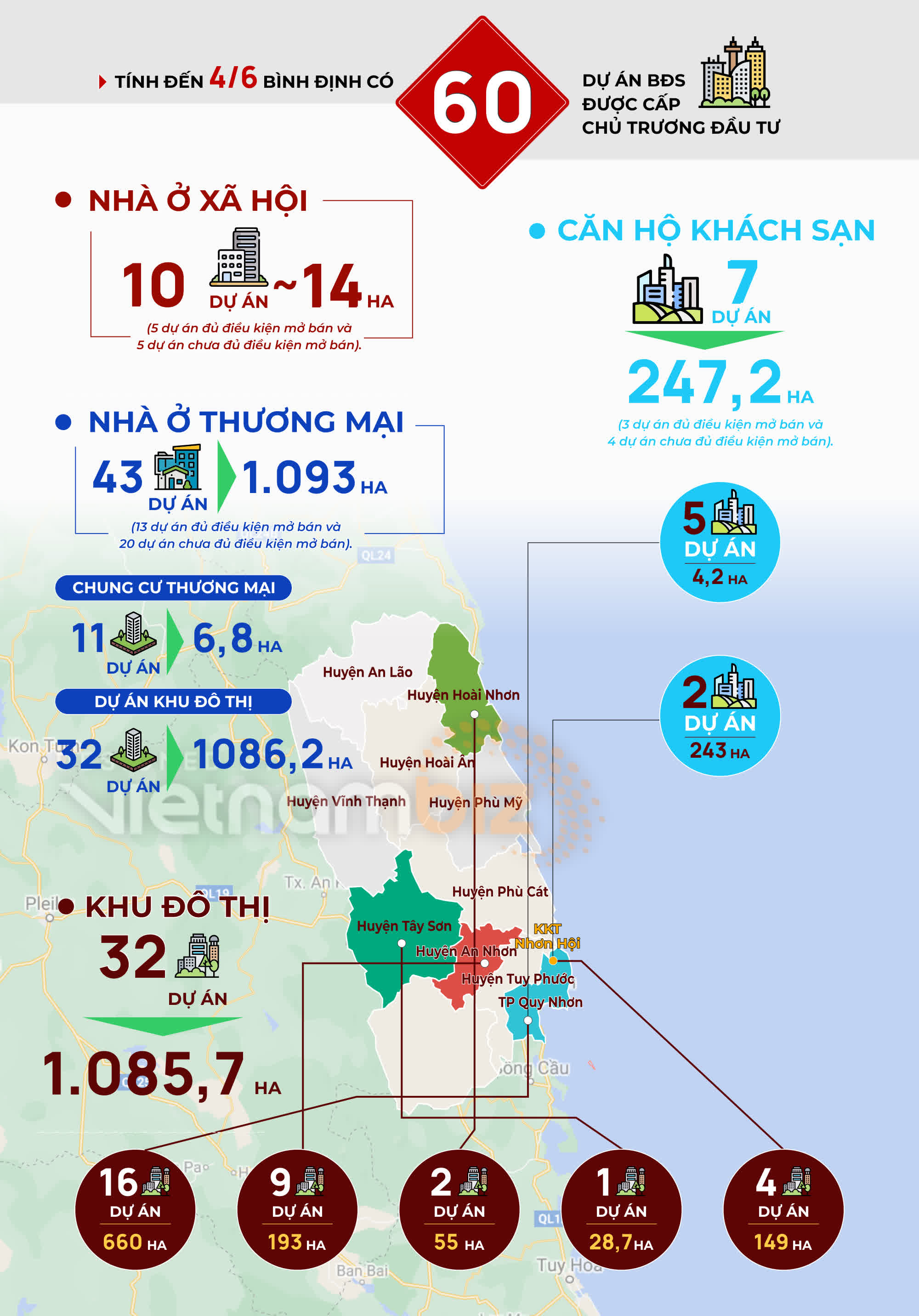 [Infographic] 60 dự án BĐS được cấp chủ trương đầu tư tại Bình Định - Ảnh 1.