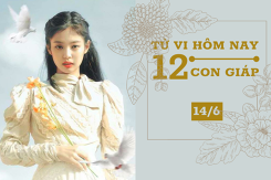 Tử vi hàng ngày hôm nay 14/6 của 12 con giáp: Thìn sự nghiệp hanh thông, Sửu lận đận trong tình cảm