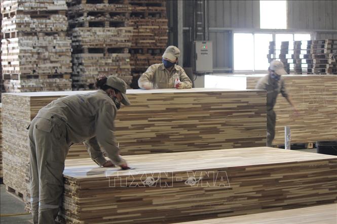 Ấn Độ rà soát cuối kỳ thuế áp thuế chống bán phá giá ván sợi Việt Nam - Ảnh 1.