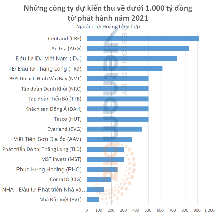 Làn sóng doanh nghiệp địa ốc phát hành cổ phần (Bài 2): Lớn nhỏ đều hào hứng, từ Novaland, FLC, Thaiholdings, Vinaconex… đến những công ty thua lỗ - Ảnh 2.
