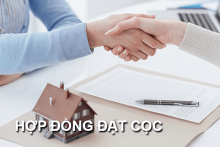 Tham khảo các mẫu hợp đồng đặt cọc mới cập nhất chính xác nhất