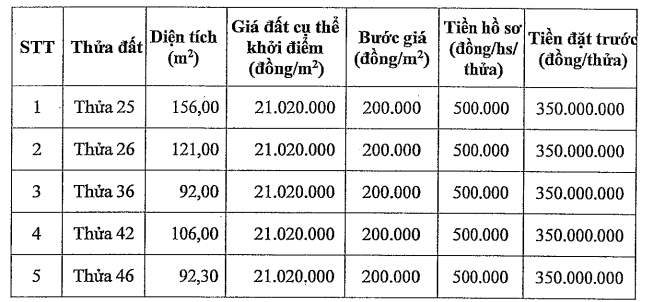 Đấu giá 5 thửa đất tại Đặng Xá, Gia Lâm, Hà Nội, khởi điểm 21 triệu đồng/m2 - Ảnh 1. Đấu giá 5 thửa đất tại Đặng Xá, Gia Lâm, Hà Nội, khởi điểm 21 triệu đồng/m2 - Ảnh 1.