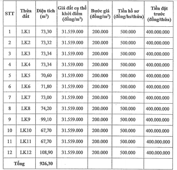 Huyện Gia Lâm, Hà Nội đấu giá 12 thửa đất tại xã Cổ Bi, khởi điểm 31,5 triệu đồng/m2 - Ảnh 1.