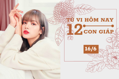 Tử vi hàng ngày hôm nay 16/6 của 12 con giáp: Tuổi Dần, Mùi, Hợi tài lộc dồi dào