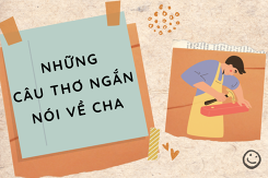 Tham khảo những câu thơ ngắn nói về cha đong đầy ý nghĩa