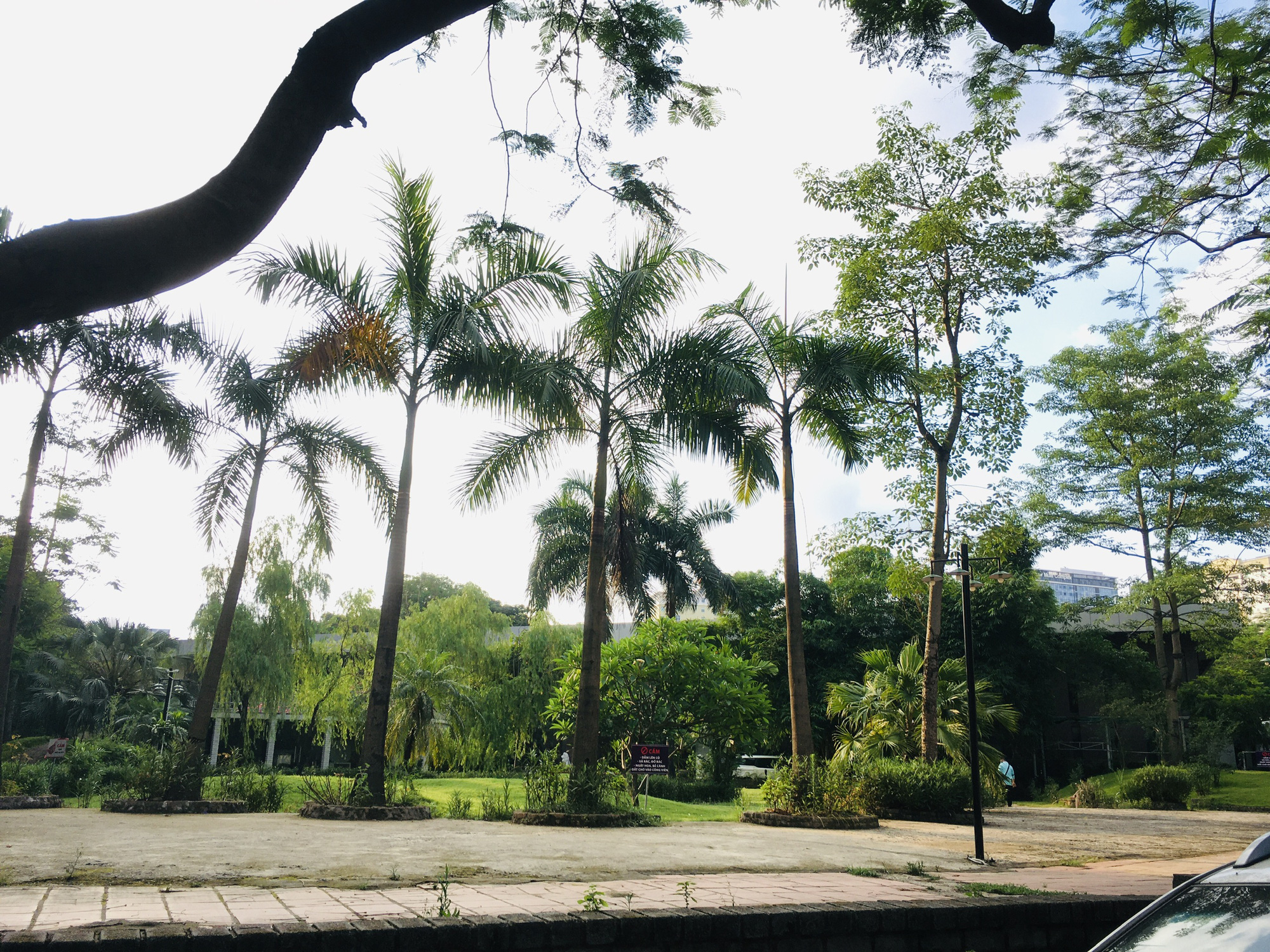 Những khu dính quy hoạch phường Trung Hòa, Cầu Giấy, Hà Nội (phần 3) - Ảnh 8.
