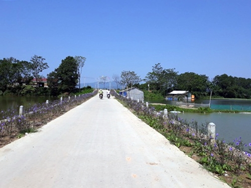 Kế hoạch sử dụng đất xã Thanh Bình, Chương Mỹ, Hà Nội năm 2021 - Ảnh 1.