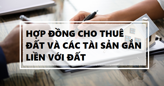 Tham khảo hợp đồng cho thuê quyền sử dụng đất và tài sản gắn liền với đất - Ảnh 2. Tham khảo hợp đồng cho thuê quyền sử dụng đất và tài sản gắn liền với đất - Ảnh 2.