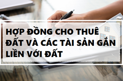 Tham khảo hợp đồng cho thuê quyền sử dụng đất và tài sản gắn liền với đất