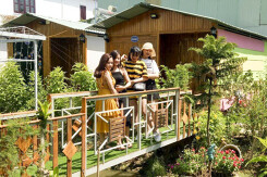 Bà Rịa - Vũng Tàu xem xét dừng kinh doanh homestay trong căn hộ chung cư