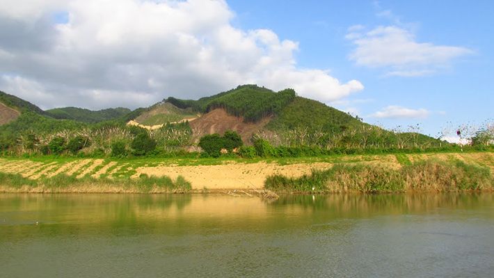 Quảng Nam quy hoạch hơn 9.500 ha sông Thu Bồn và Trường Giang - Ảnh 1. Quảng Nam quy hoạch hơn 9.500 ha sông Thu Bồn và Trường Giang - Ảnh 1.