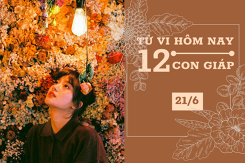 Tử vi hàng ngày hôm nay 21/6 của 12 con giáp: Sửu công việc suôn sẻ, Mùi cẩn thận hao tài trong ngày