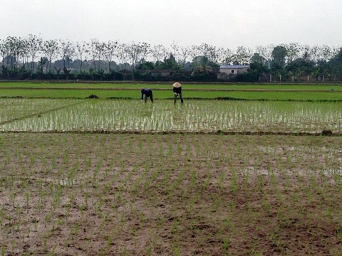 Kế hoạch sử dụng đất xã Phú Nam An, Chương Mỹ, Hà Nội năm 2021 - Ảnh 1. Kế hoạch sử dụng đất xã Phú Nam An, Chương Mỹ, Hà Nội năm 2021 - Ảnh 1.