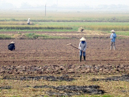 Kế hoạch sử dụng đất xã Hoà Chính, Chương Mỹ, Hà Nội năm 2021 - Ảnh 1. Kế hoạch sử dụng đất xã Hoà Chính, Chương Mỹ, Hà Nội năm 2021 - Ảnh 1.