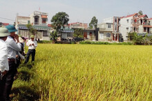 Kế hoạch sử dụng đất xã Đồng Phú, Chương Mỹ, Hà Nội năm 2021