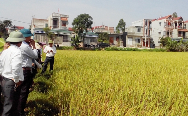 Kế hoạch sử dụng đất xã Đồng Phú, Chương Mỹ, Hà Nội năm 2021 - Ảnh 1.