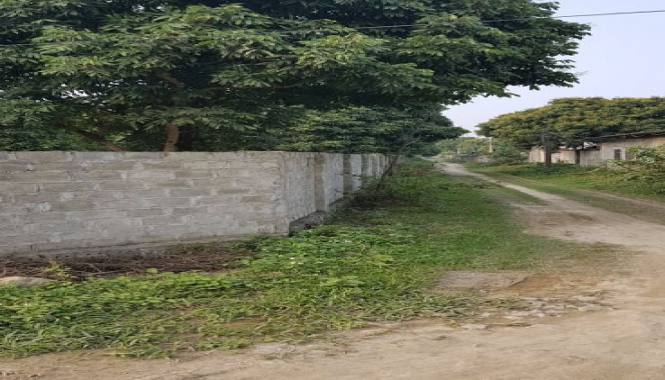 Kế hoạch sử dụng đất xã Trần Phú, Chương Mỹ, Hà Nội năm 2021 - Ảnh 1.