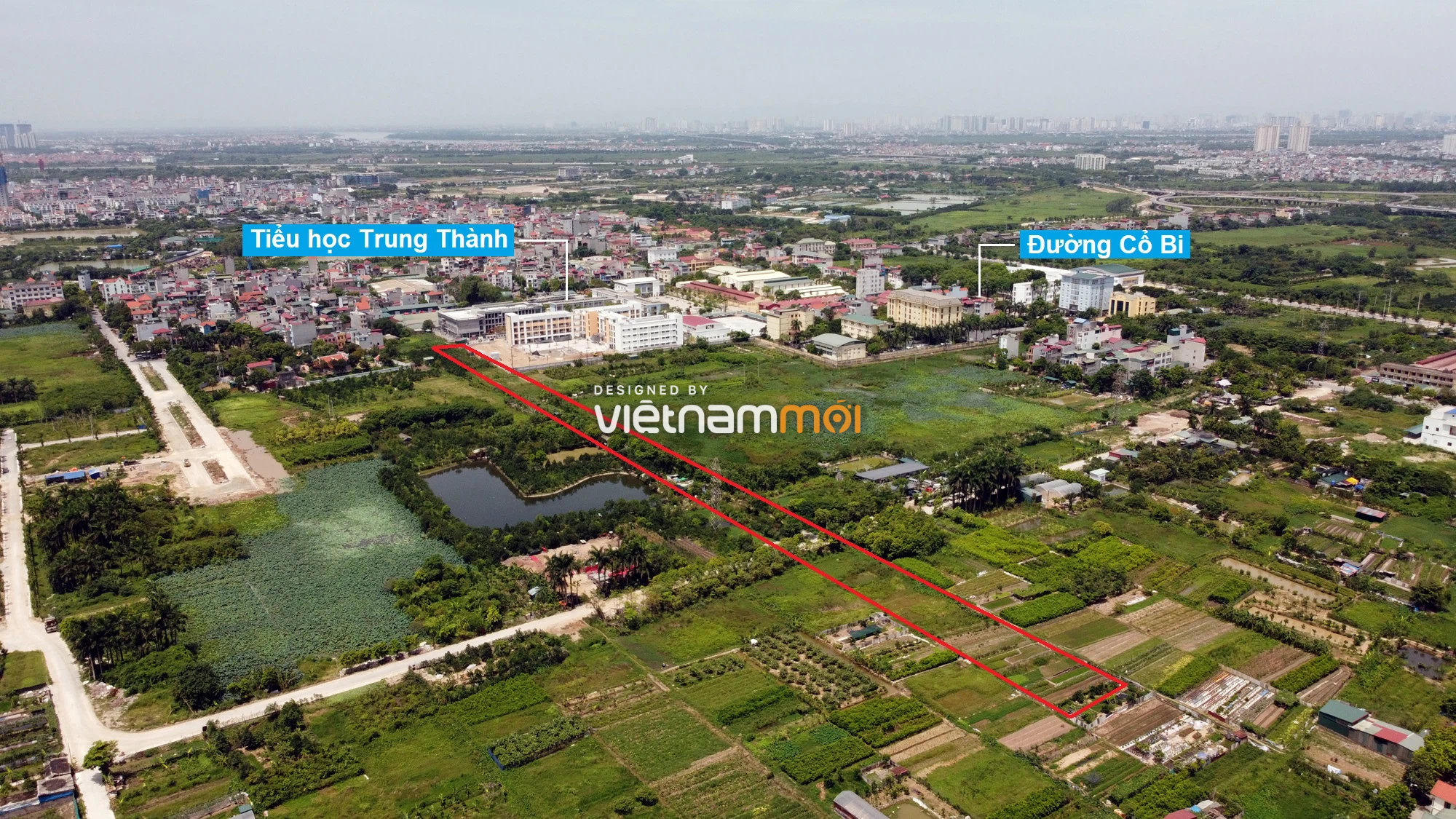 Đường sẽ mở theo quy hoạch ở xã Cổ Bi, Gia Lâm, Hà Nội (phần 2) - Ảnh 6. Đường sẽ mở theo quy hoạch ở xã Cổ Bi, Gia Lâm, Hà Nội (phần 2) - Ảnh 6.