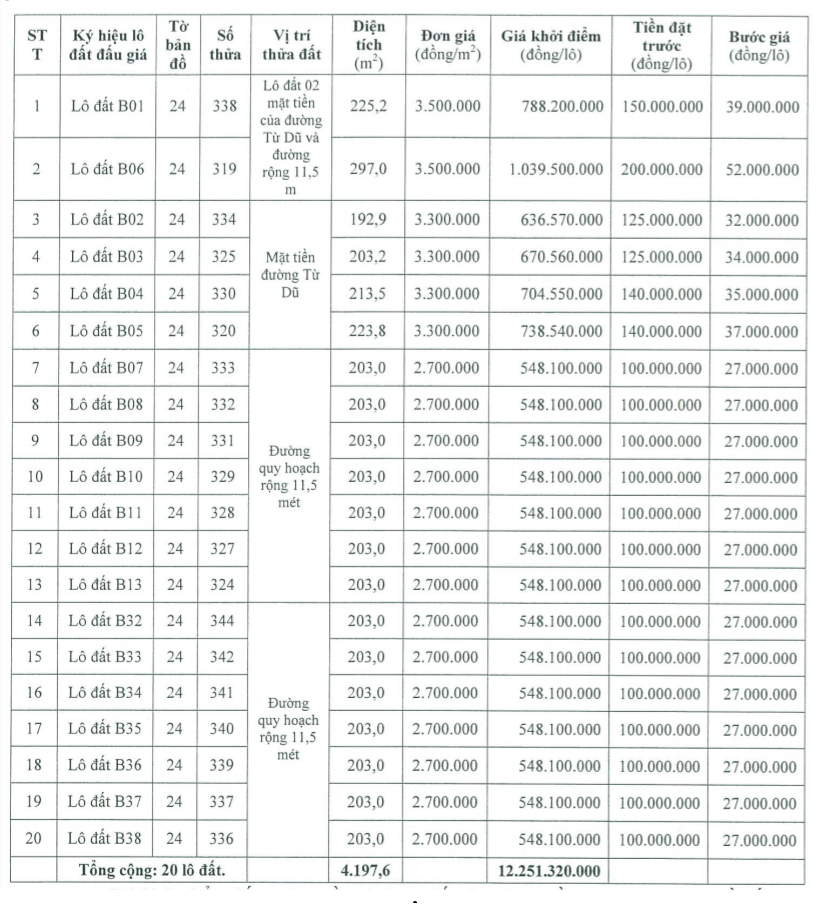 Thừa Thiên Huế đấu giá 20 lô đất tại thị trấn Phú Lộc, khởi điểm từ 2,7 triệu đồng/m2 - Ảnh 1.