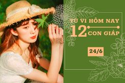 Tử vi hàng ngày hôm nay 24/6 của 12 con giáp: Ngọ sự nghiệp, tài vận “lên như diều gặp gió”