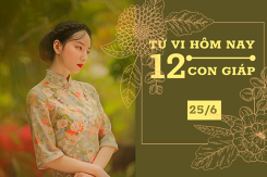 Tử vi hàng ngày hôm nay 25/6 của 12 con giáp: Dần chú ý khi di chuyển, Mùi làm ăn khấm khá