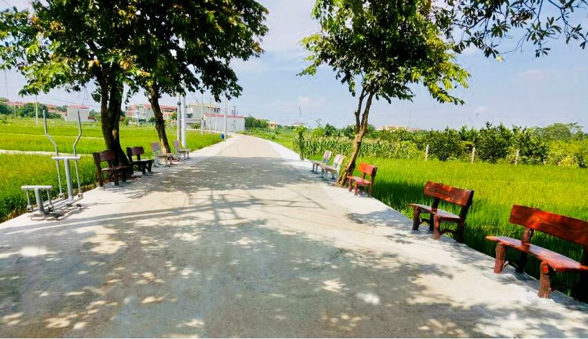 Kế hoạch sử dụng đất thị trấn Phúc Thọ, Phúc Thọ, Hà Nội năm 2021 - Ảnh 1.